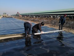 hdpe土工膜與復合土工膜該如何選擇