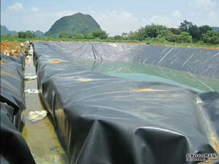 污水養(yǎng)殖.jpg 污水養(yǎng)殖.jpg